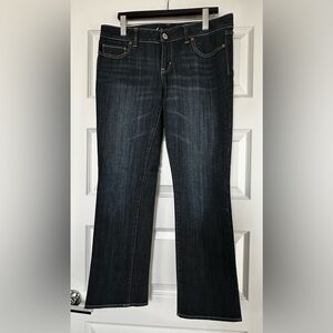 American Eagle Outfitters Deep Blue Straight Jeans